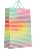 Colourful Gift Bag (3)