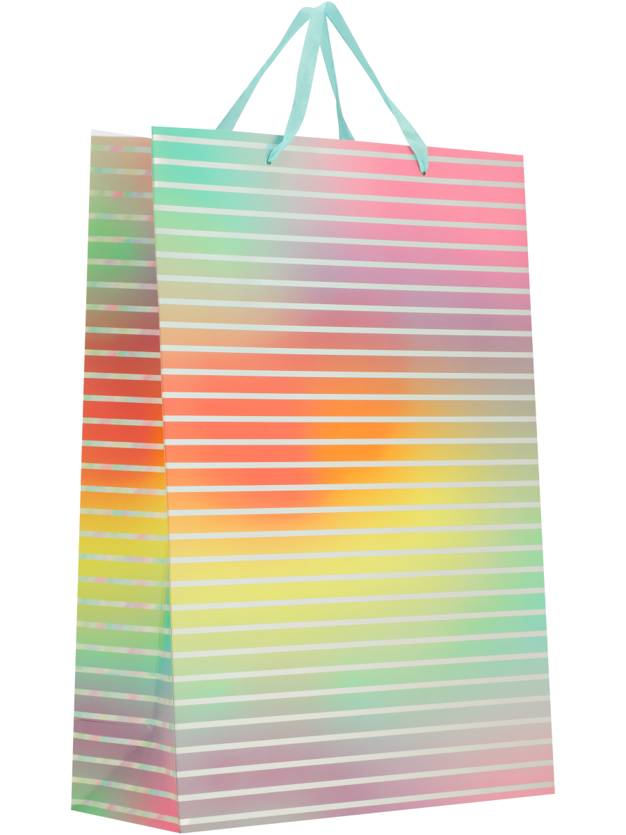 Colourful Gift Bag (3)
