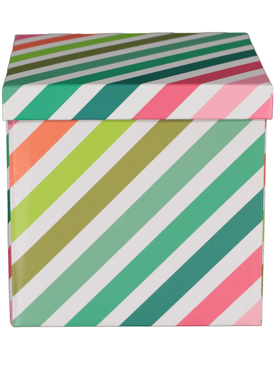 Storage Box