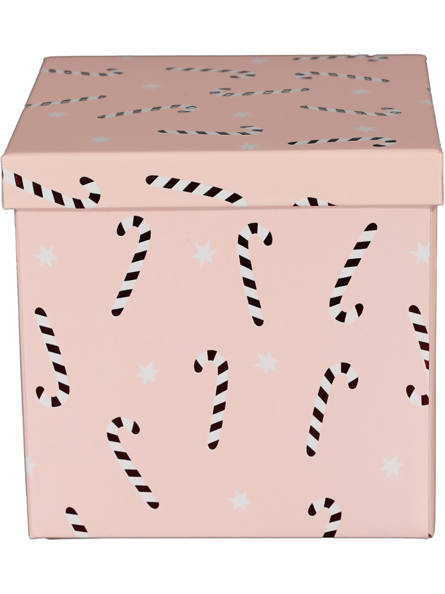 Printed Storage Box