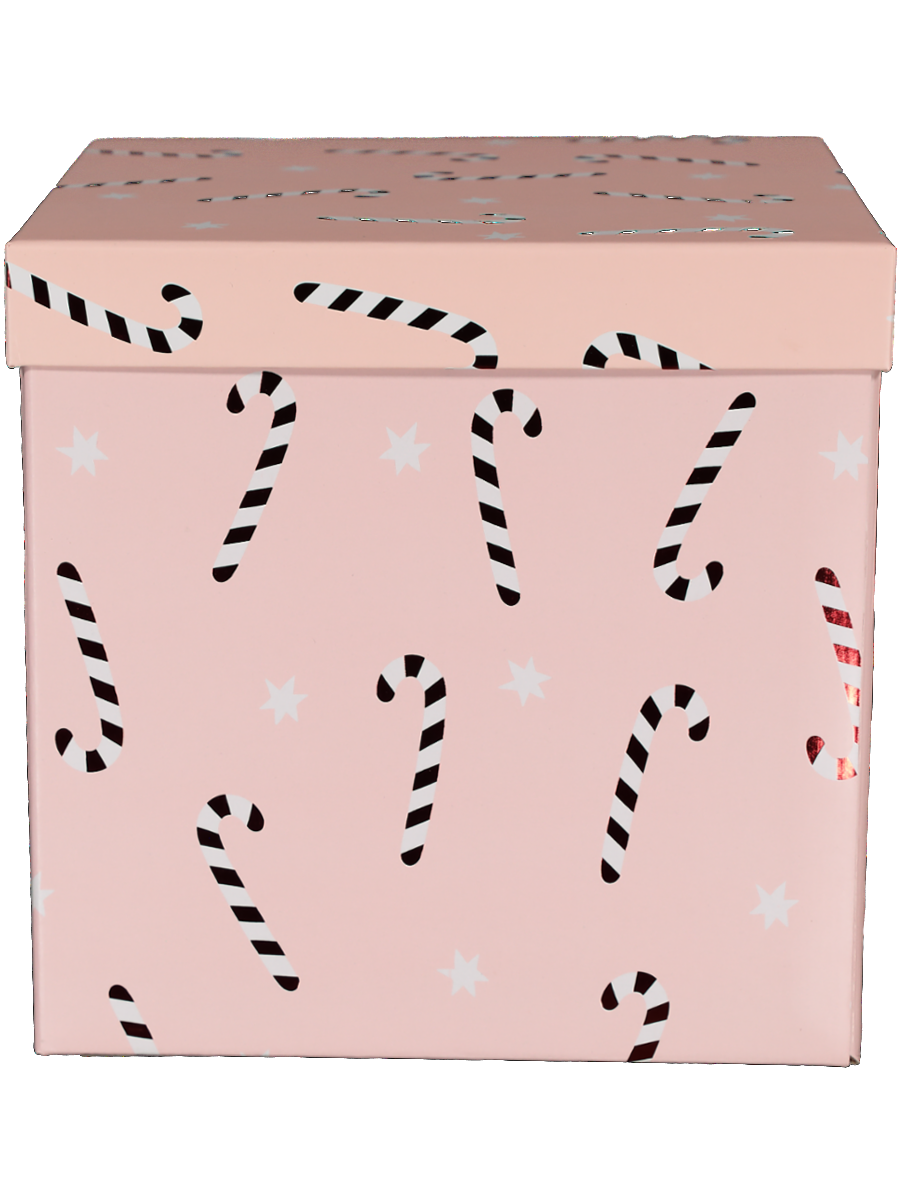 Candy Cane Print Storage Box