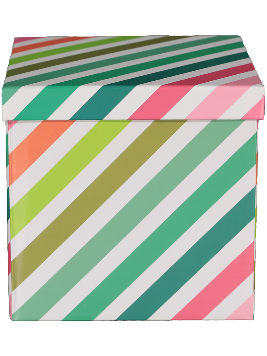 Striped Storage Box