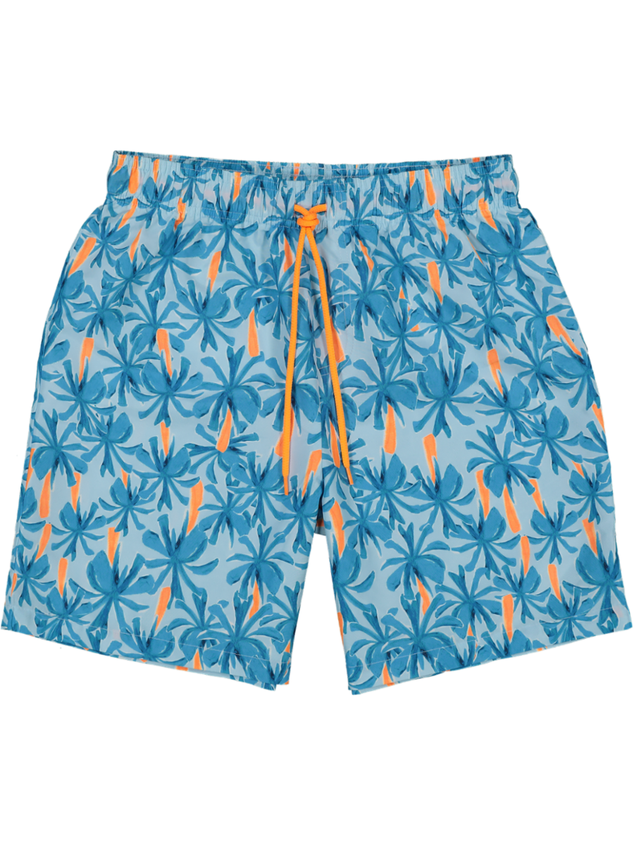 Blue Printed Shorts