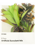Artificial Succulent Mix (1)