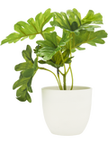 White Artificial Pot Plant (1)