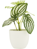 White Artificial Pot Plant (2)