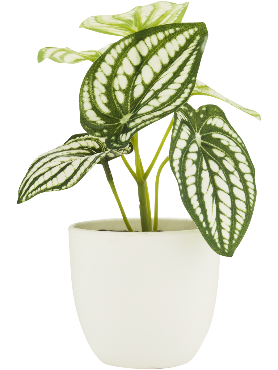 White Artificial Pot Plant (2)