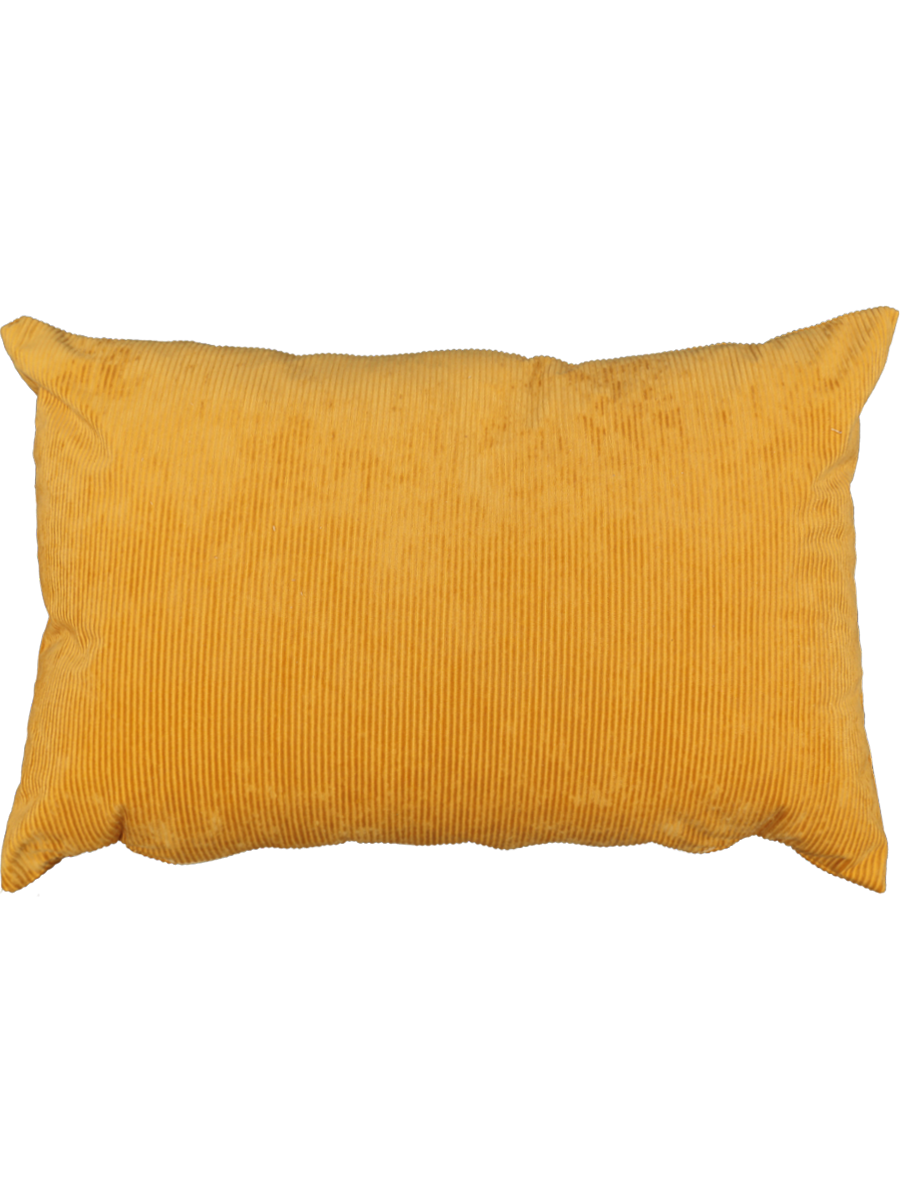 Scatter Cushion 40X60cm