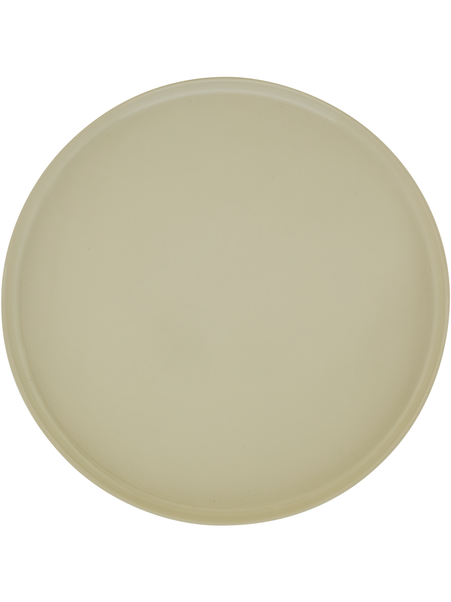 Ceramic Dinner Plate