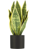 Artificial Potted Plant (1)