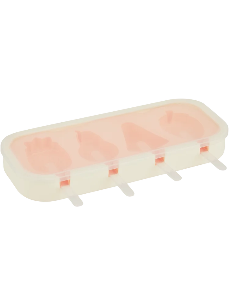 Fruit Iced Lolly Mould