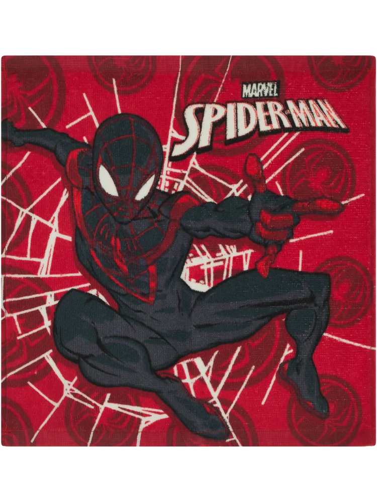 Spider-Man Character Face Cloth
