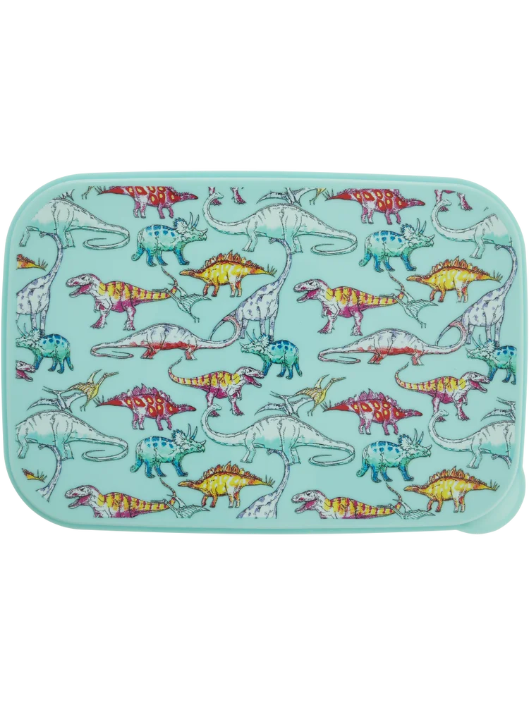 2 Divider Dinosaur Lunch Box