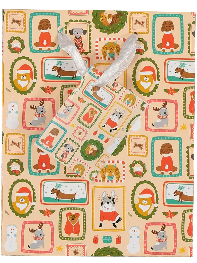 Small Christmas Gift Bag (Design/Colour may vary)