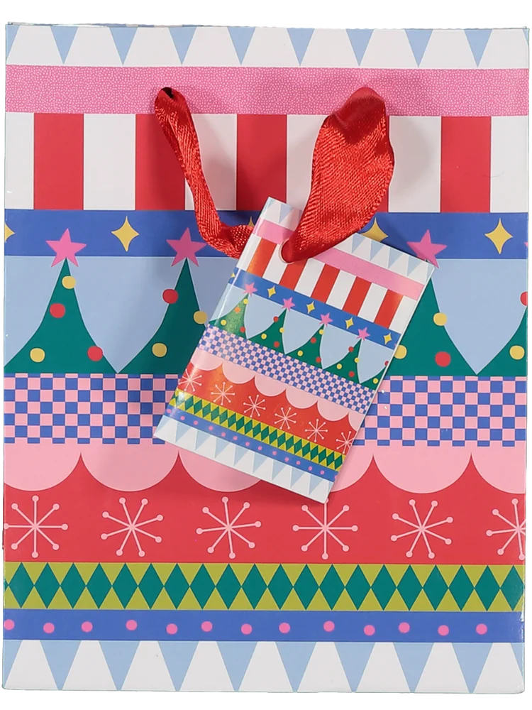 Small Christmas Gift Bag (Design/Colour may vary) (1)