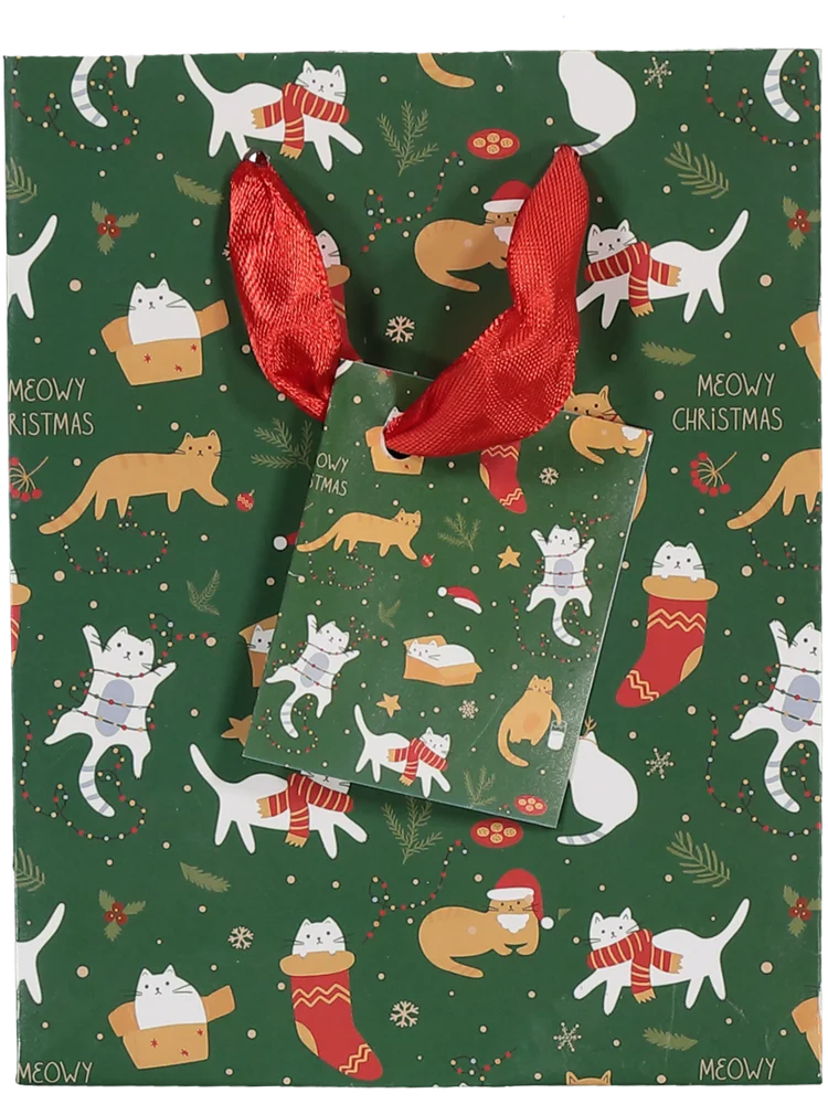 Small Christmas Gift Bag (Design/Colour may vary) (2)