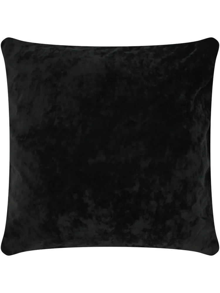 Black Scatter Cover 50x50xm