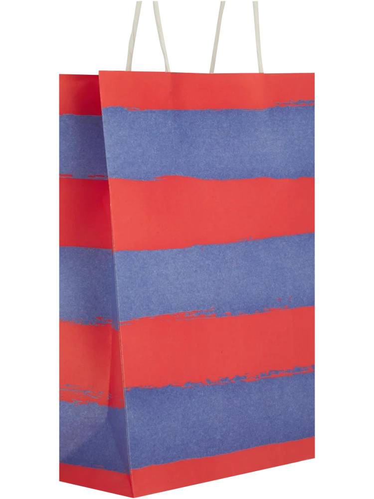 6 Pack Assorted Broad Free Stripes Paper Gift Bags (5)