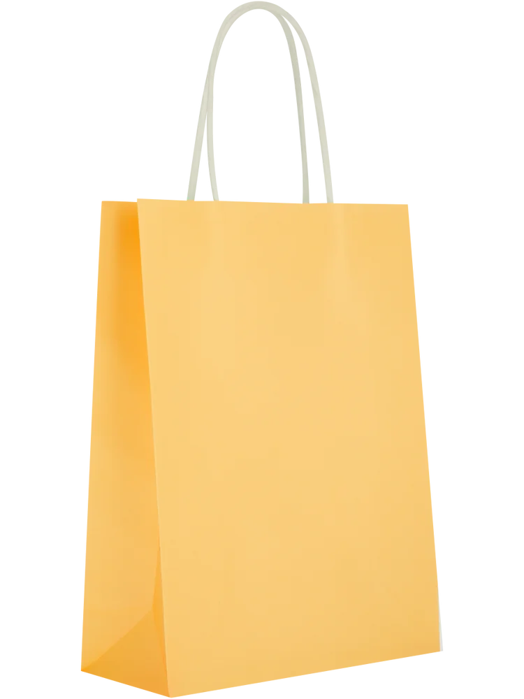 6 Pack Assorted Solid Colour Paper Gift Bags (9)