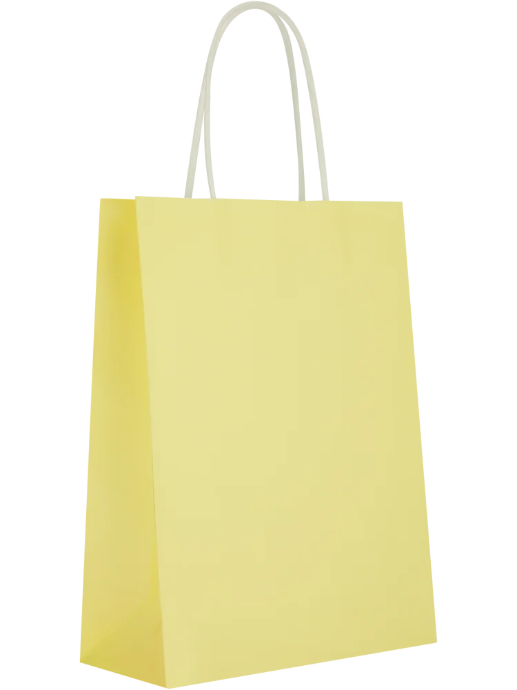 6 Pack Assorted Solid Colour Paper Gift Bags (10)