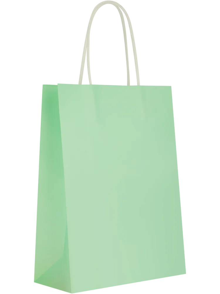 6 Pack Assorted Solid Colour Paper Gift Bags (11)