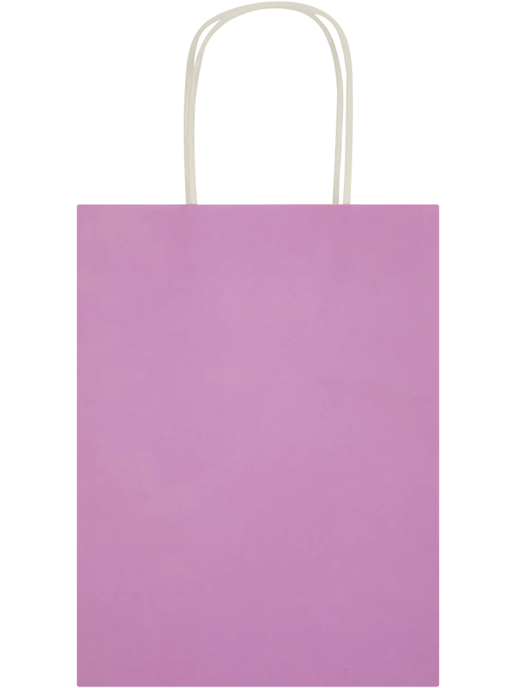 6 Pack Assorted Solid Colour Paper Gift Bags