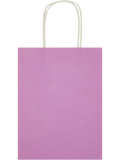 6 Pack Assorted Solid Colour Paper Gift Bags