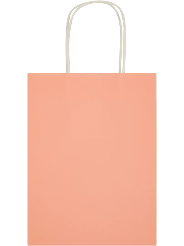 6 Pack Assorted Solid Colour Paper Gift Bags