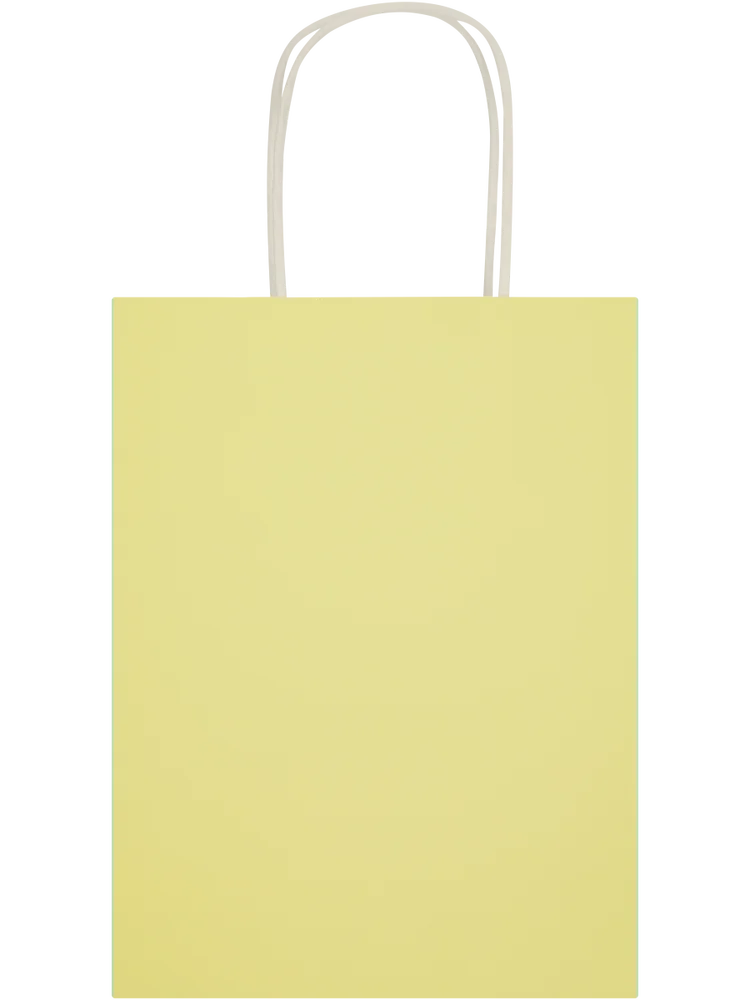 6 Pack Assorted Solid Colour Paper Gift Bags (4)