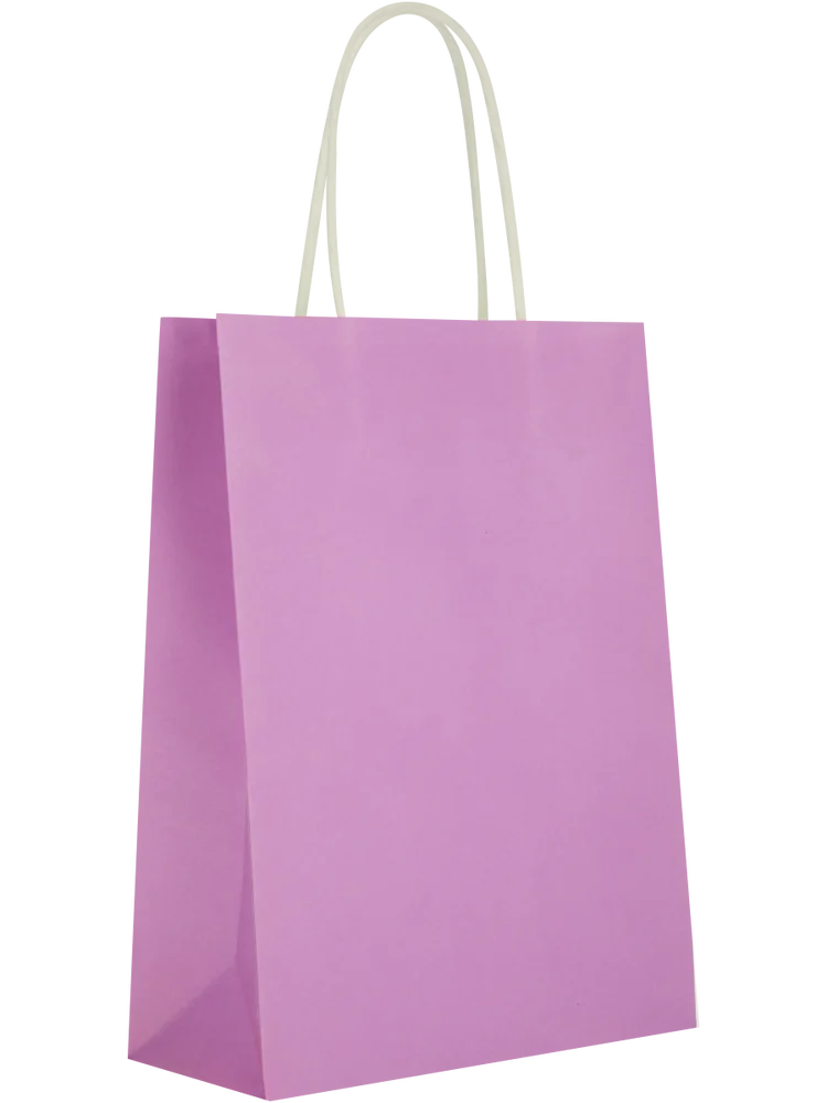 6 Pack Assorted Solid Colour Paper Gift Bags (6)