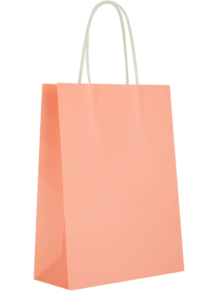 6 Pack Assorted Solid Colour Paper Gift Bags (7)