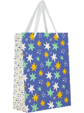 Medium Gift Bag (2)