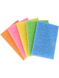 5 Pack Assorted Scouring Pads