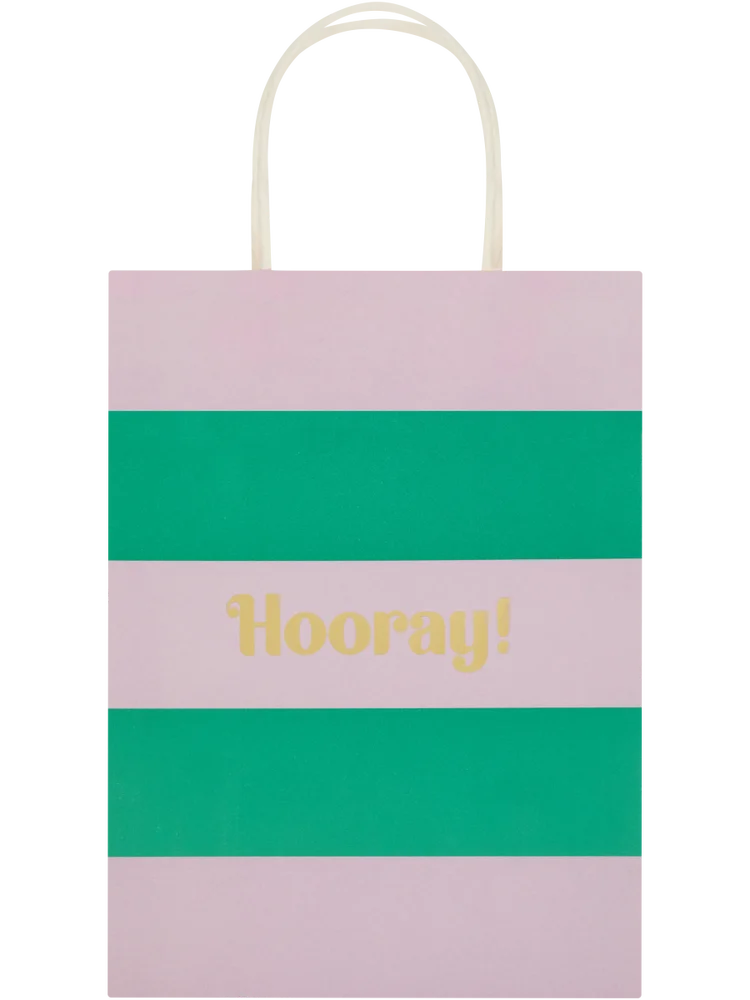 6 Pack Assorted Hooray Paper Gift Bags