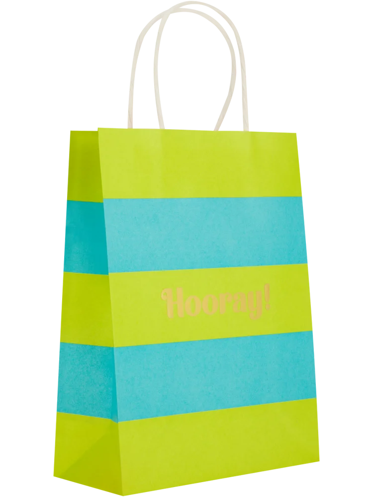 6 Pack Assorted Hooray Paper Gift Bags (4)