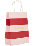 6 Pack Assorted Hooray Paper Gift Bags (5)