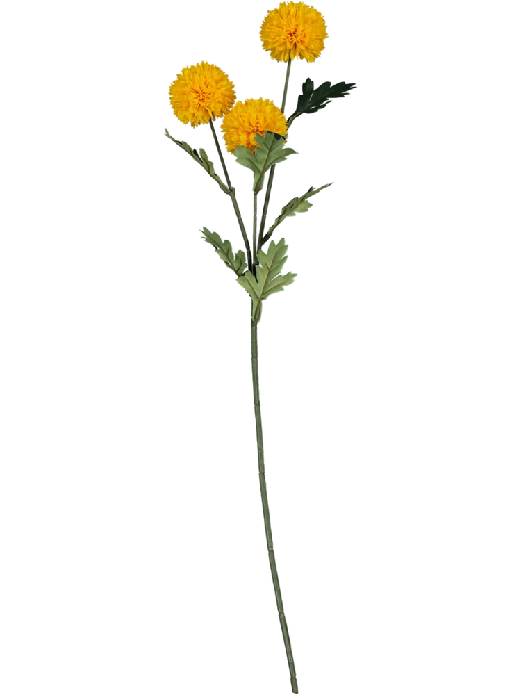 Yellow Marigold Flower