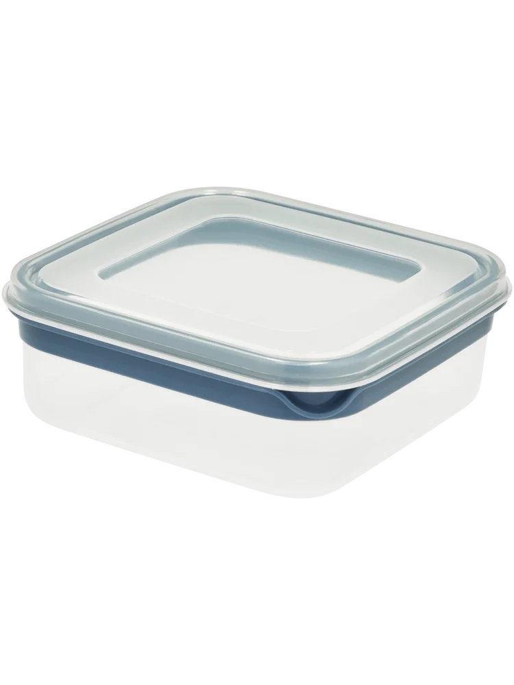 Blue Stripe Square Container