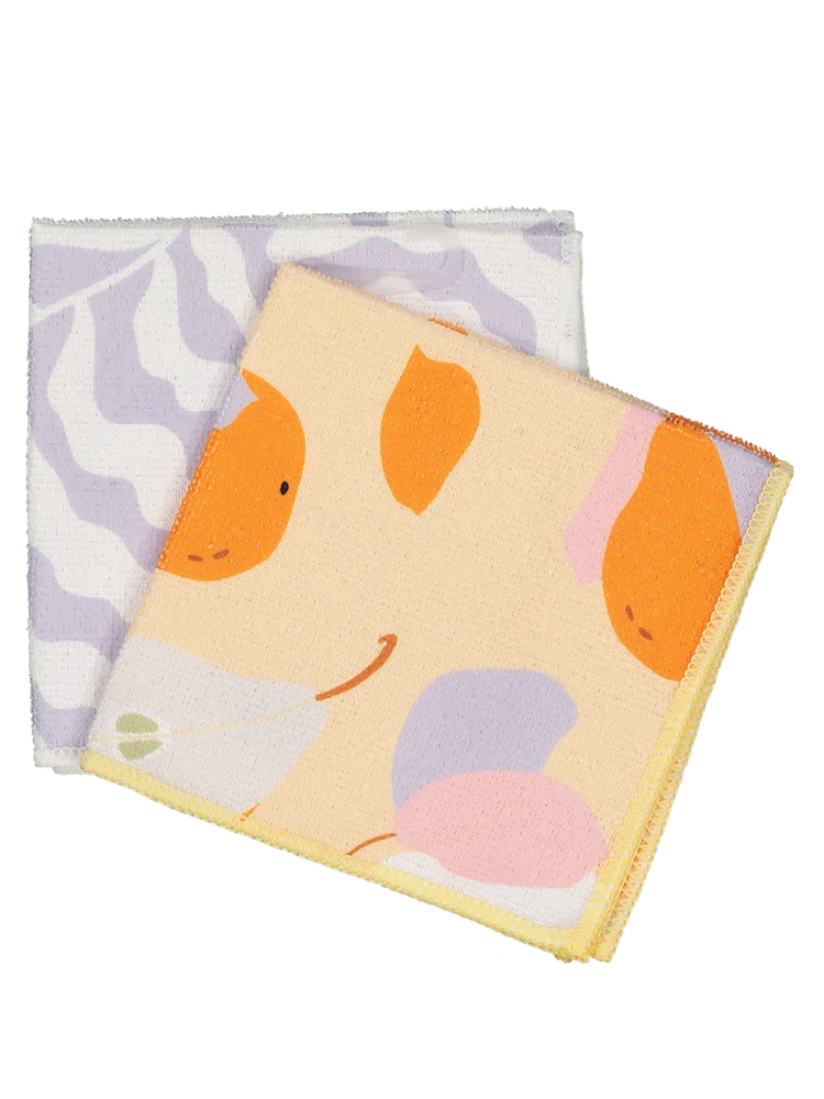 Dish Cloths 2 Pack
