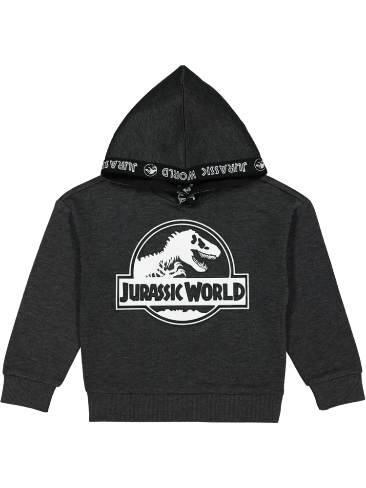 Grey Jurassic Park Hoodie