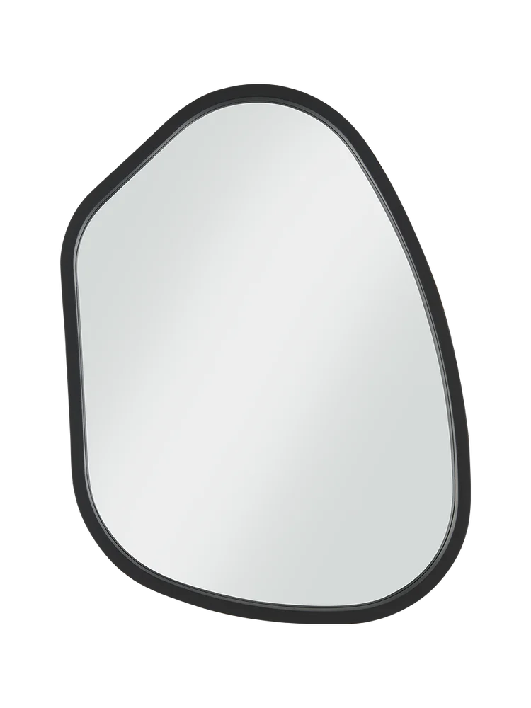 Black Organic Shaped Mirror