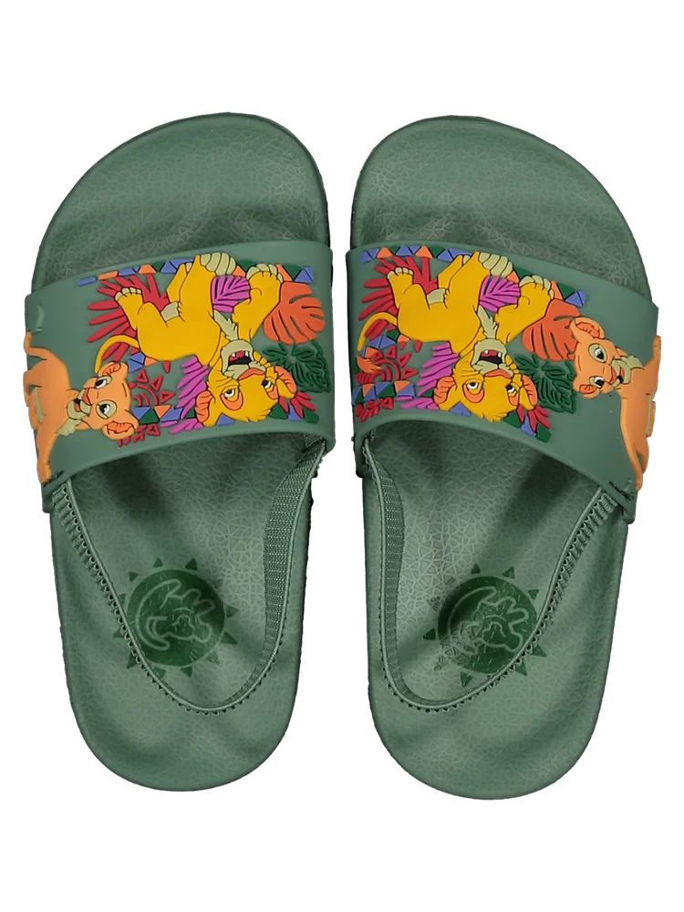 Lion King Slides