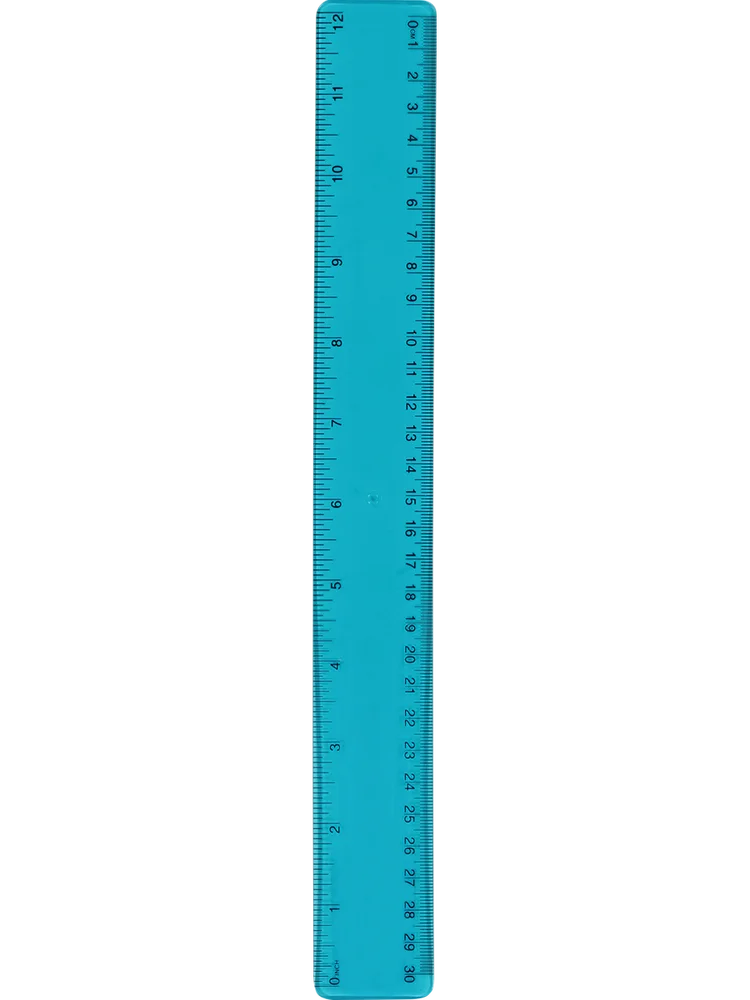 Flexi Ruler