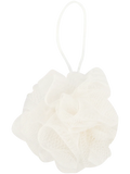 Shower Sponge