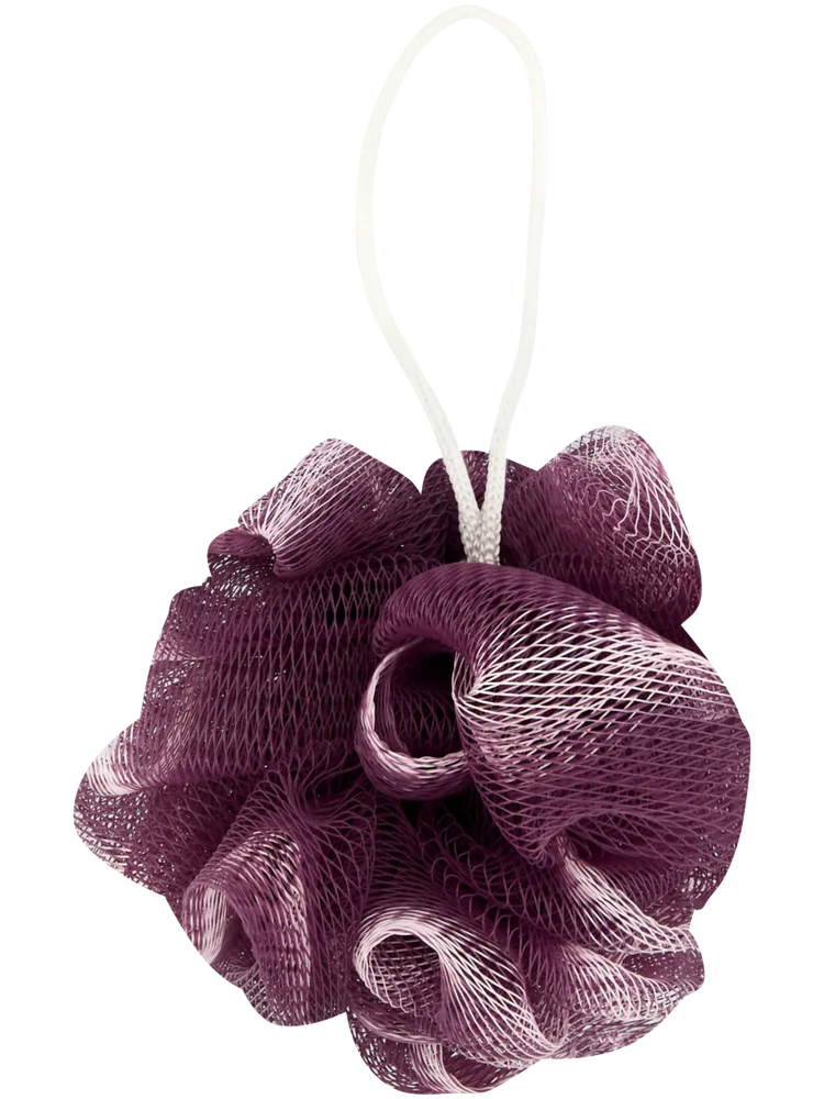 Shower Sponge (2)