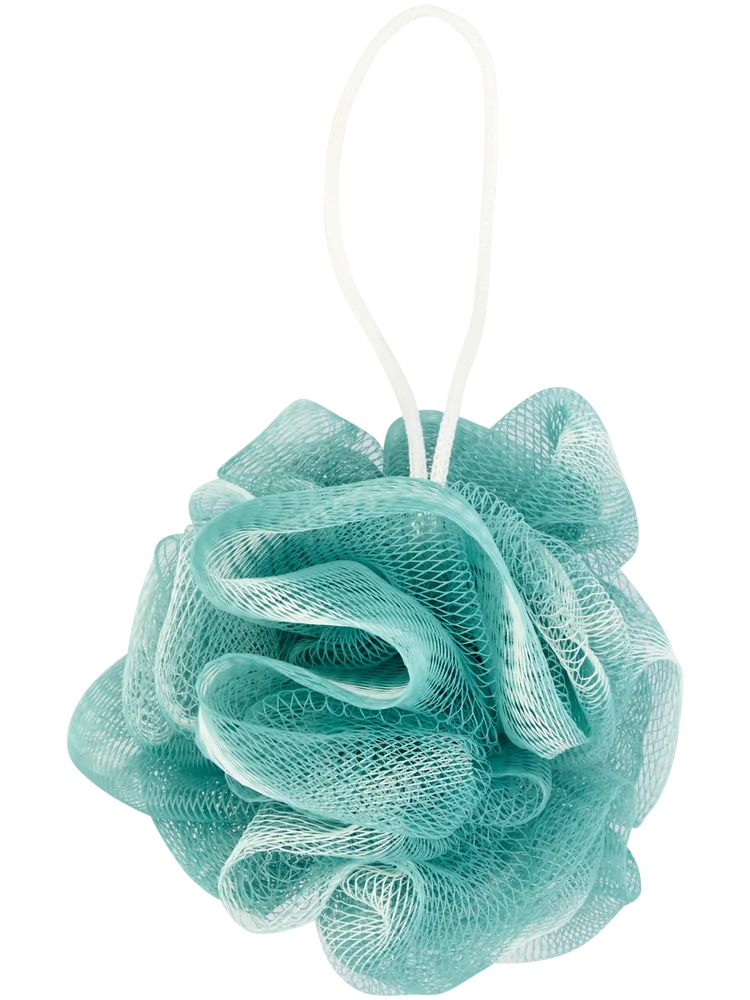 Shower Sponge (4)