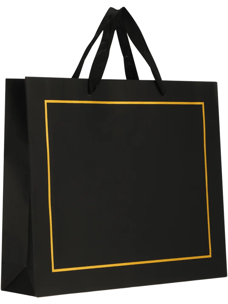 Large Gift Bag (2)