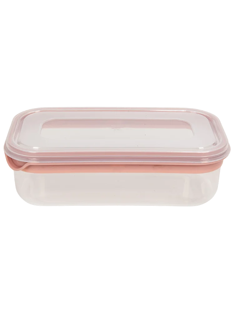 Medium Plastic Container