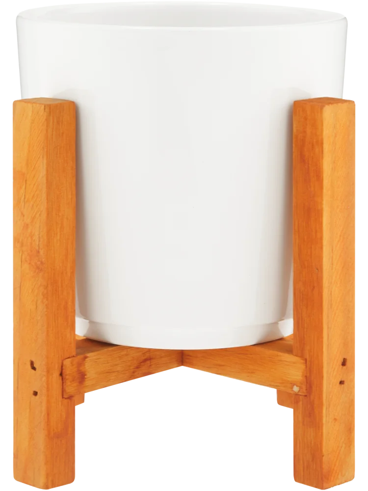 Small White Pot On Stand