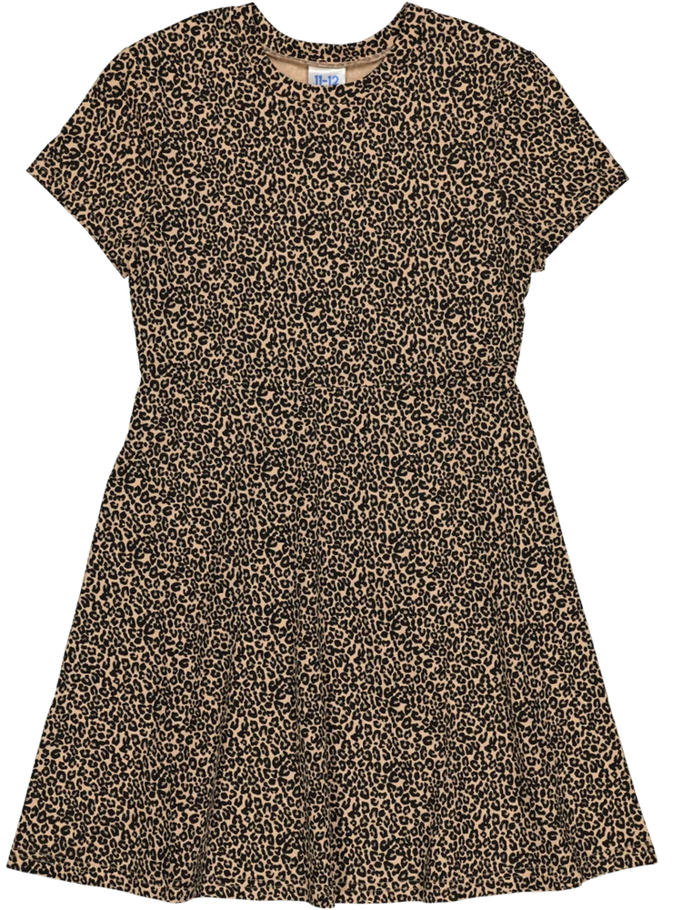 Leopard Print Dress